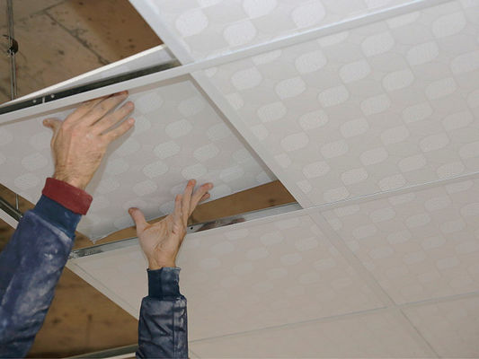 Bon prix Matériaux de plafond en PVC et gypse écologiques offrant des options durables pour les projets de construction écologique et énergétique en ligne